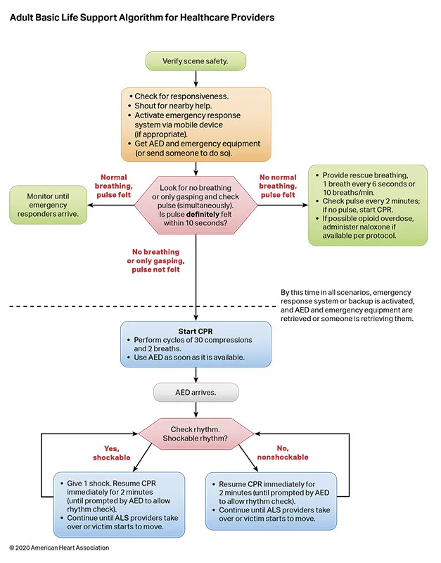 Adult BLS Algorithm